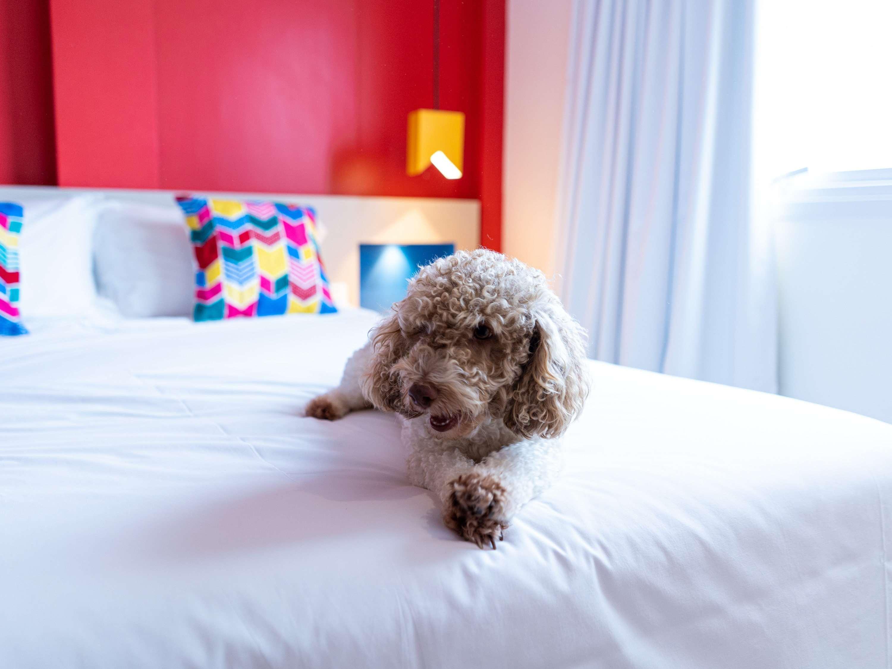 Ibis Styles Campina Grande Hotell Eksteriør bilde