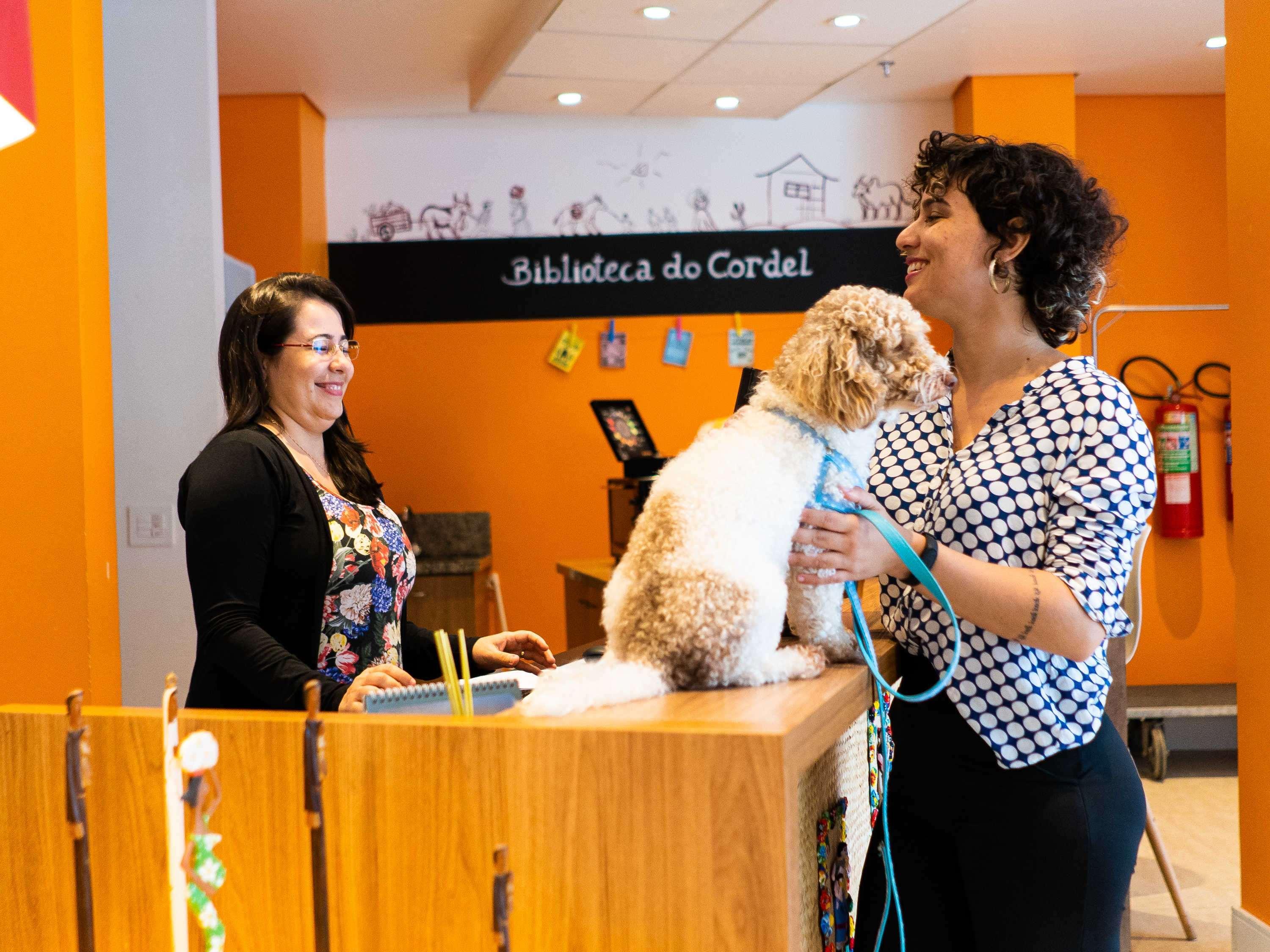 Ibis Styles Campina Grande Hotell Eksteriør bilde